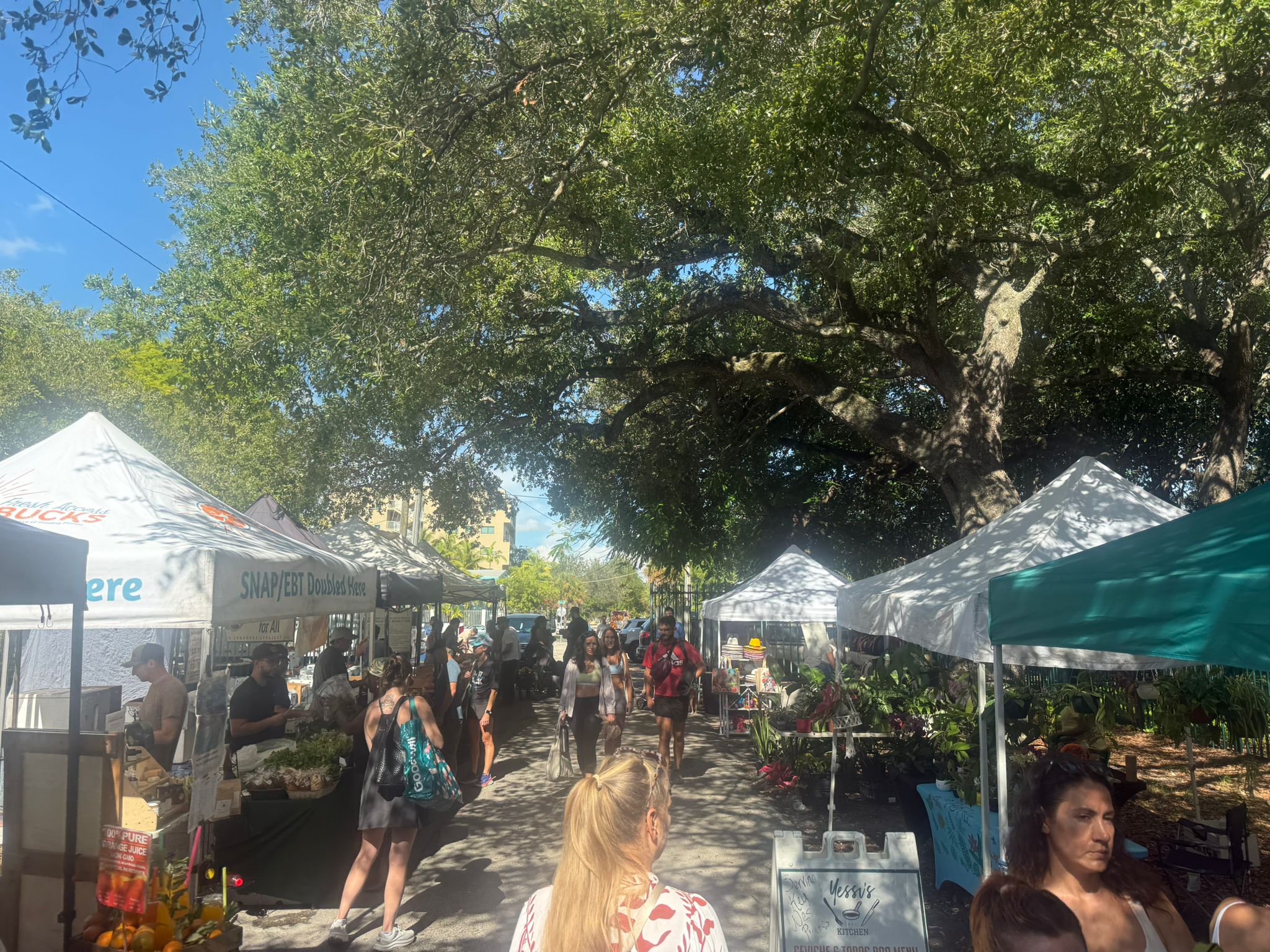 Fresh organic food and juice vendors