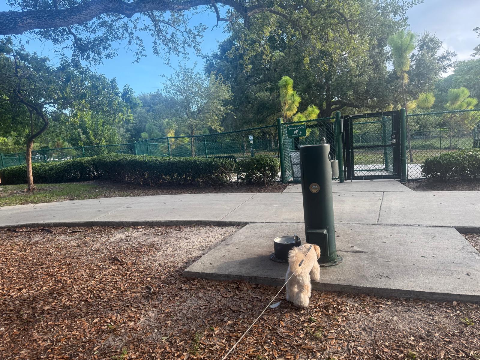 Dog-friendly drinking fountain