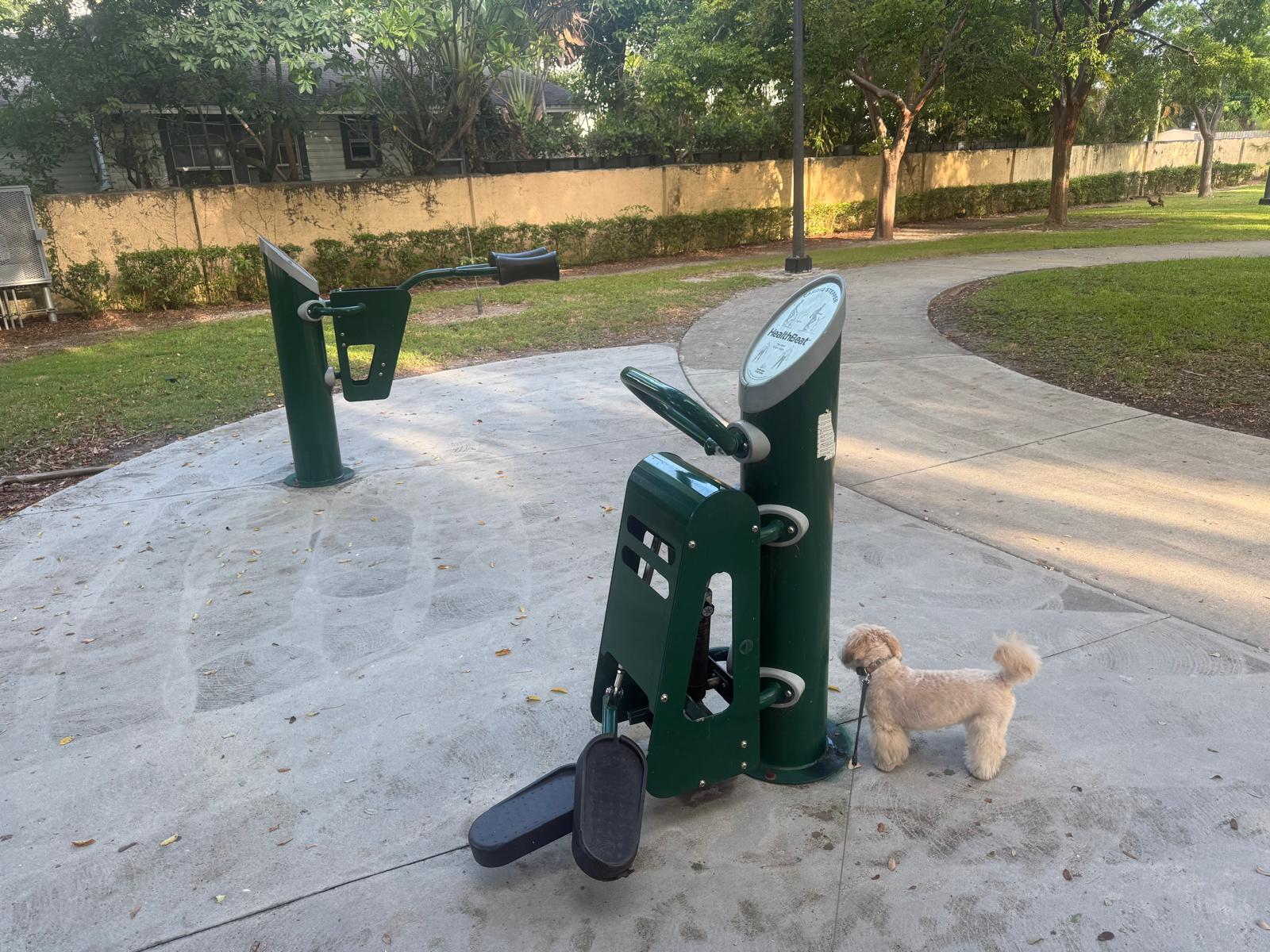 Outdoor fitness station