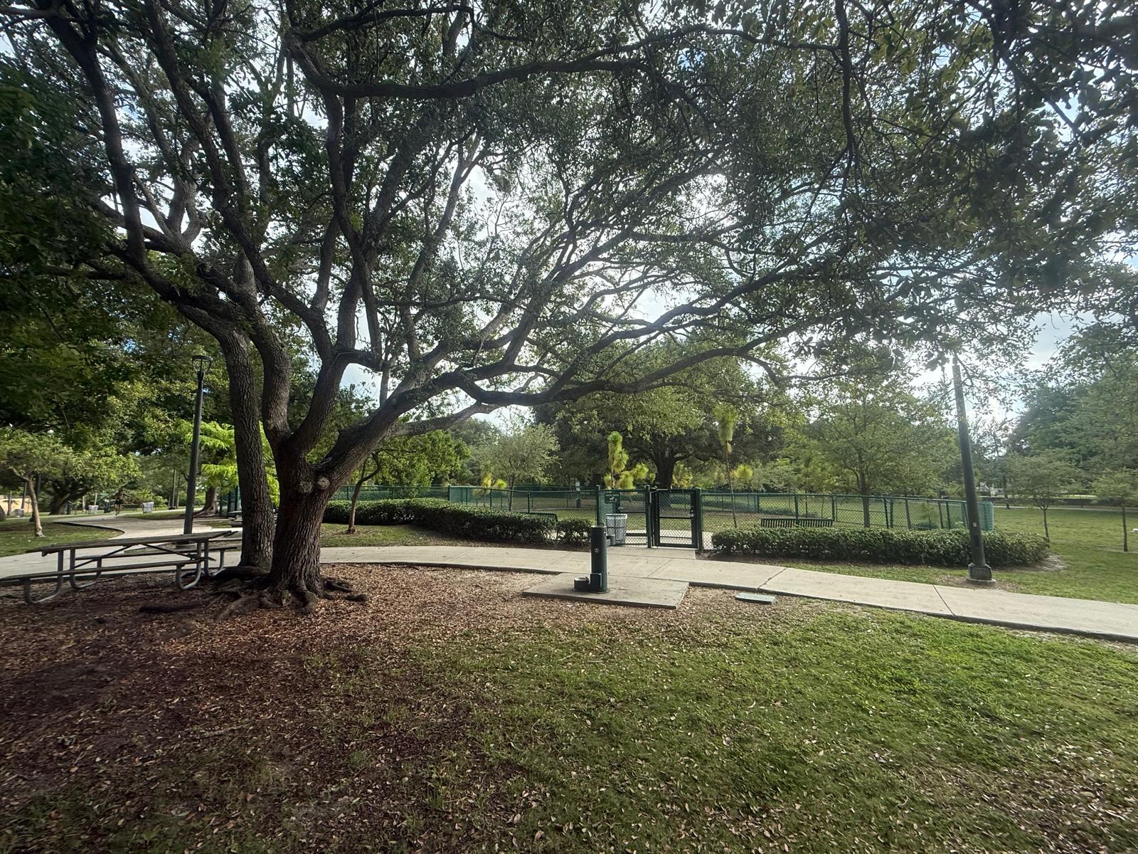 Both dog pens, fountain, and picnic tables